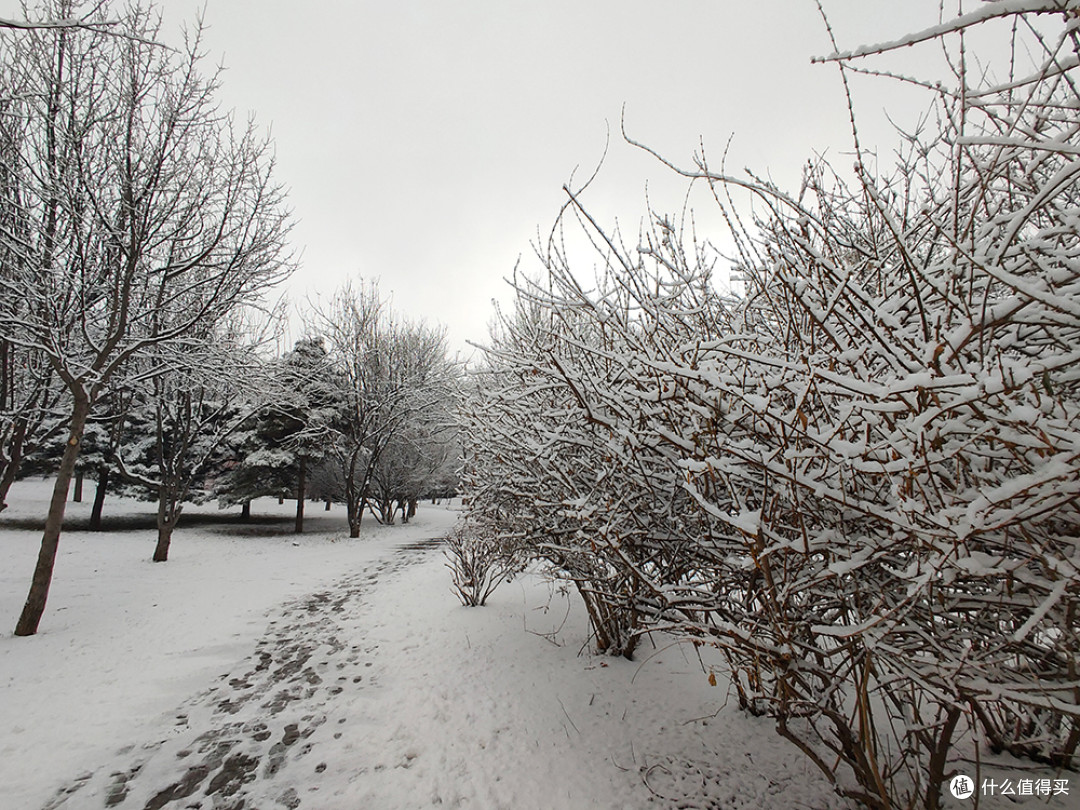 北京的雪天，让世界变化了模样