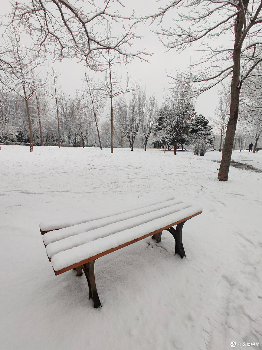 北京的雪天，让世界变化了模样