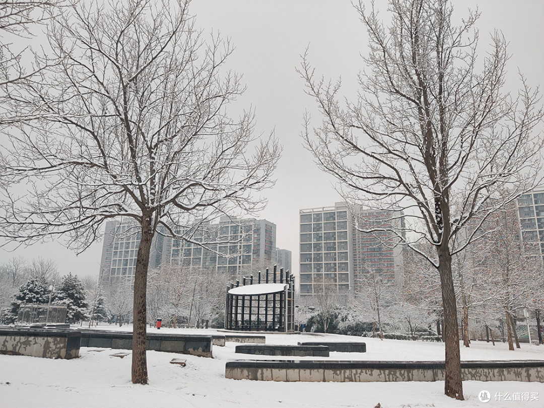 北京的雪天，让世界变化了模样