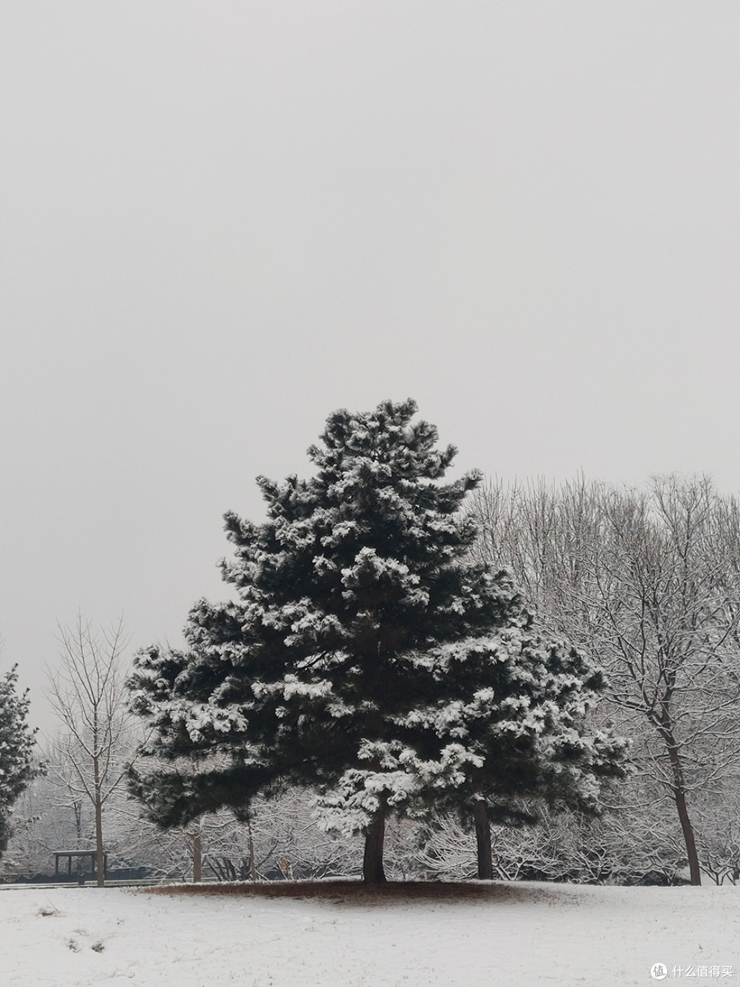 北京的雪天，让世界变化了模样