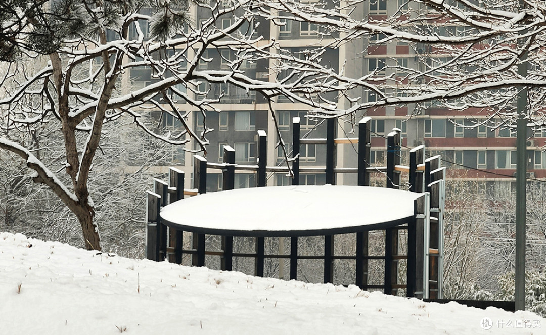 北京的雪天，让世界变化了模样