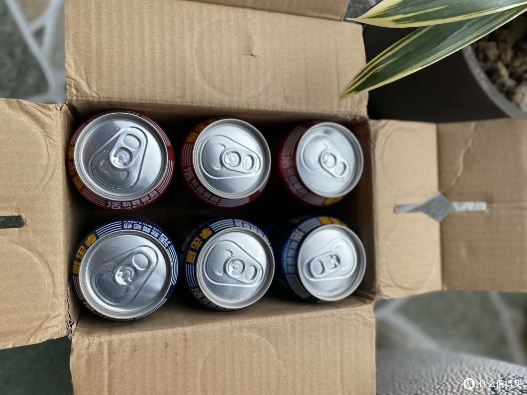 苍凉世界里的一抹甜蜜----拳击猫精酿啤酒