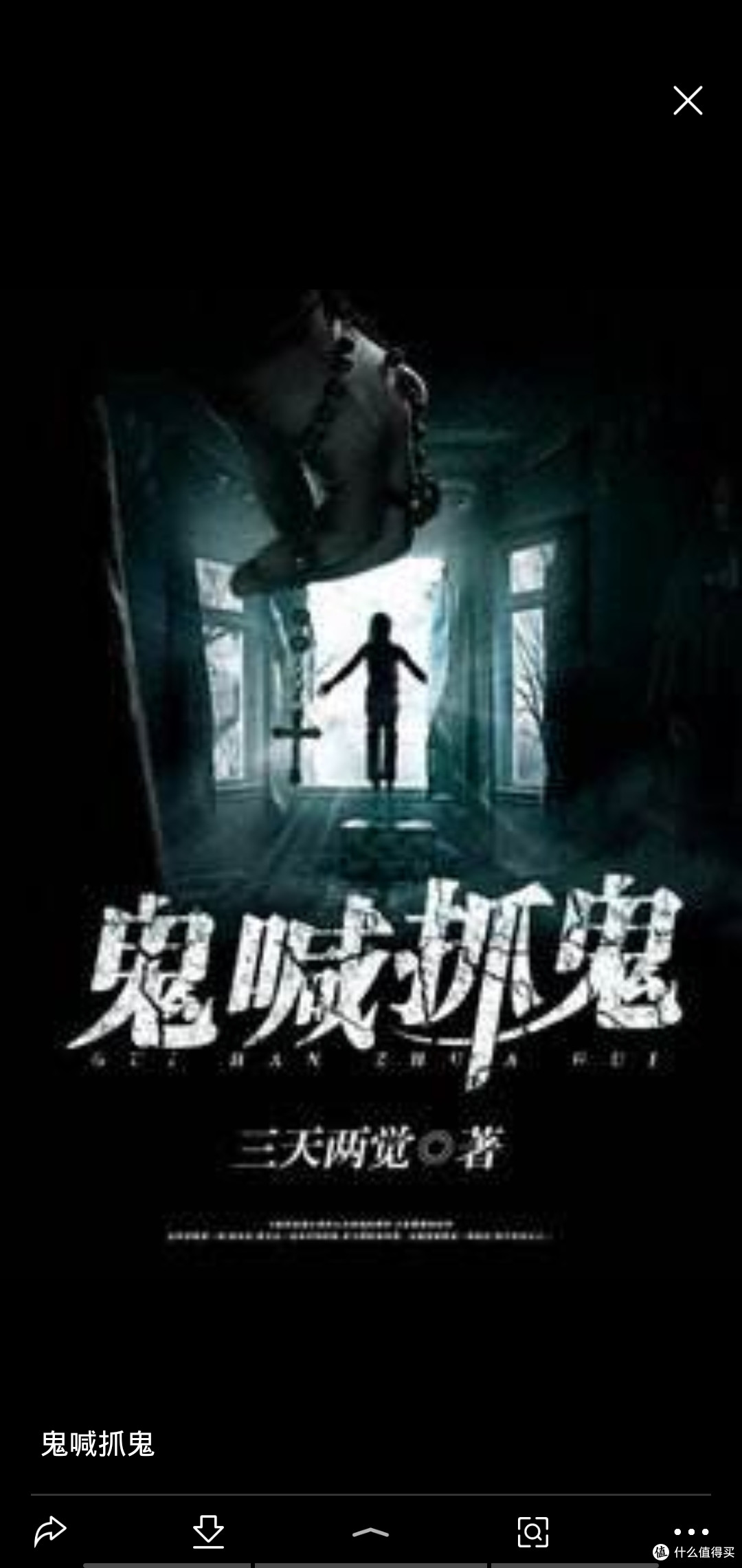 宅在家 看小说十六载 这些本人看过的小说值得一看 篇一
