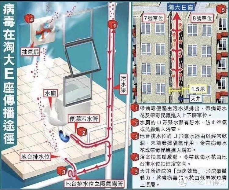 抗疫！粪便中也有病毒？在家7步避免马桶、地漏、管道传染？