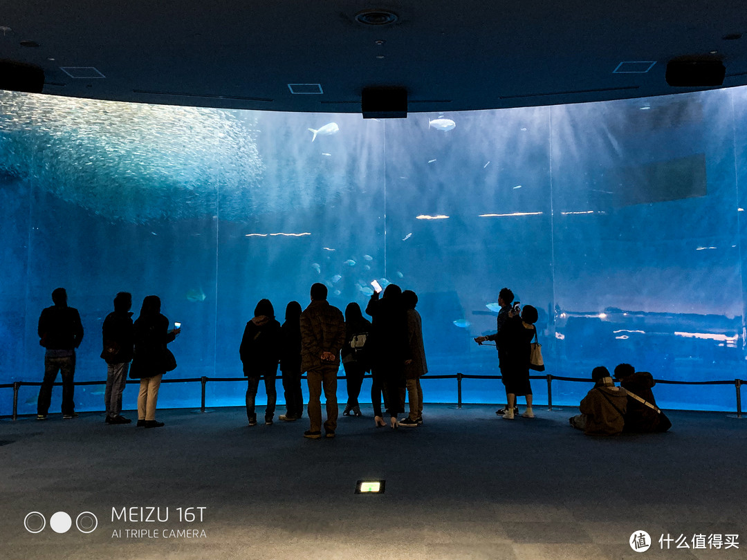 买口罩攻略+名古屋水族馆/乐高乐园游玩