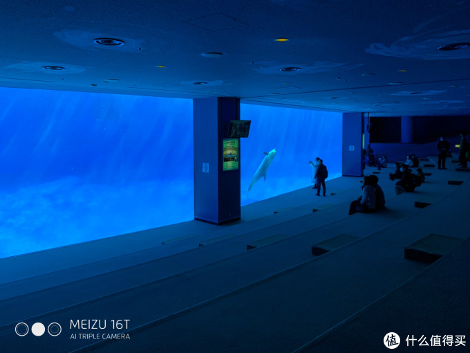 买口罩攻略+名古屋水族馆/乐高乐园游玩