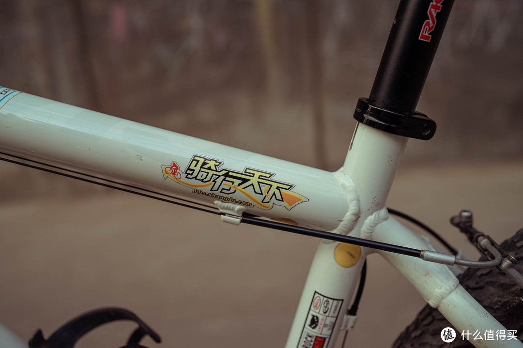 我的Dream bike 现在中古车Ginat  team