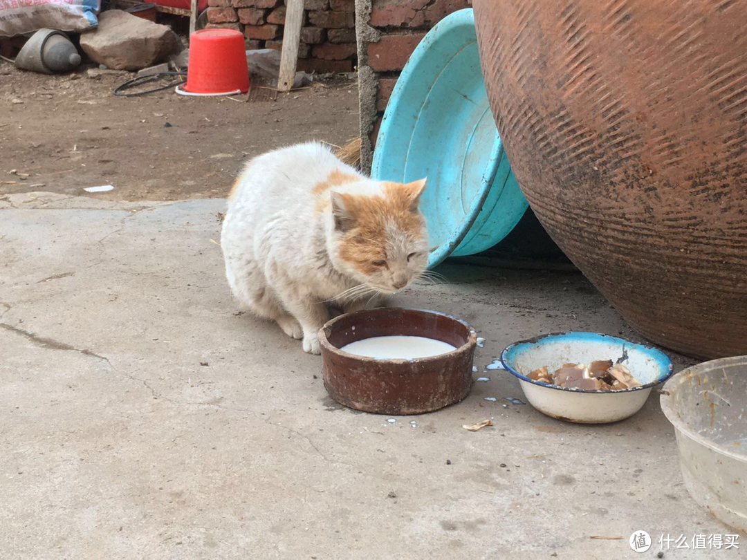 图书馆猿の自我隔离山东乡村生活（下）