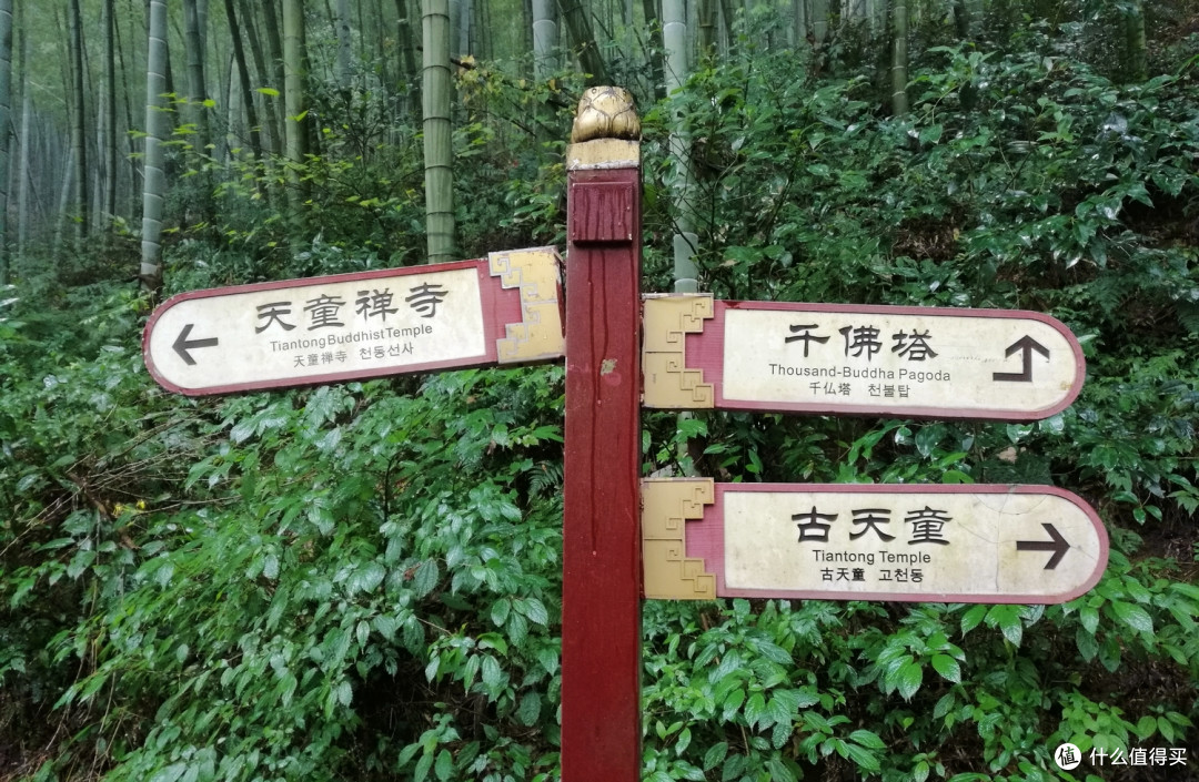 佛教禅宗五大名刹之一-天童禅寺