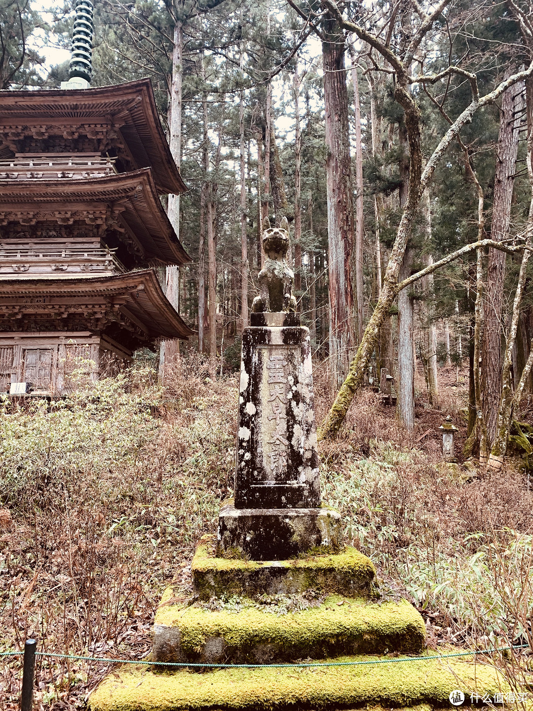 早太郎的雕像，旁边是岐阜县指定国宝，光前寺的三重塔（重修于于1808年）