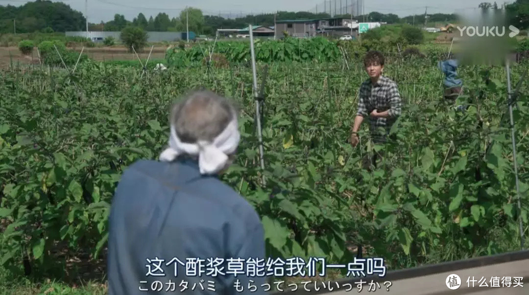 在家摘米其林星星,是一种怎样的体验?