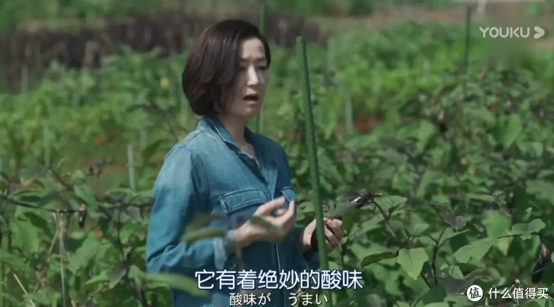 在家摘米其林星星,是一种怎样的体验?
