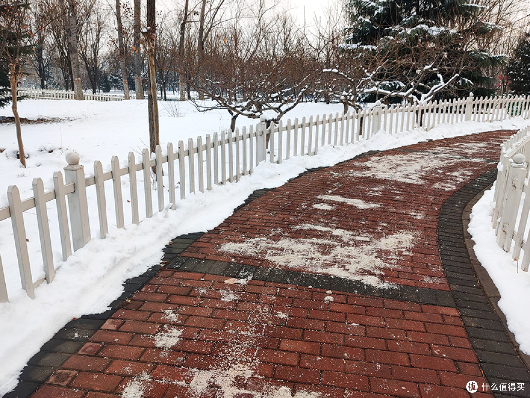 北京“又双叒叕”下雪后的手机记录