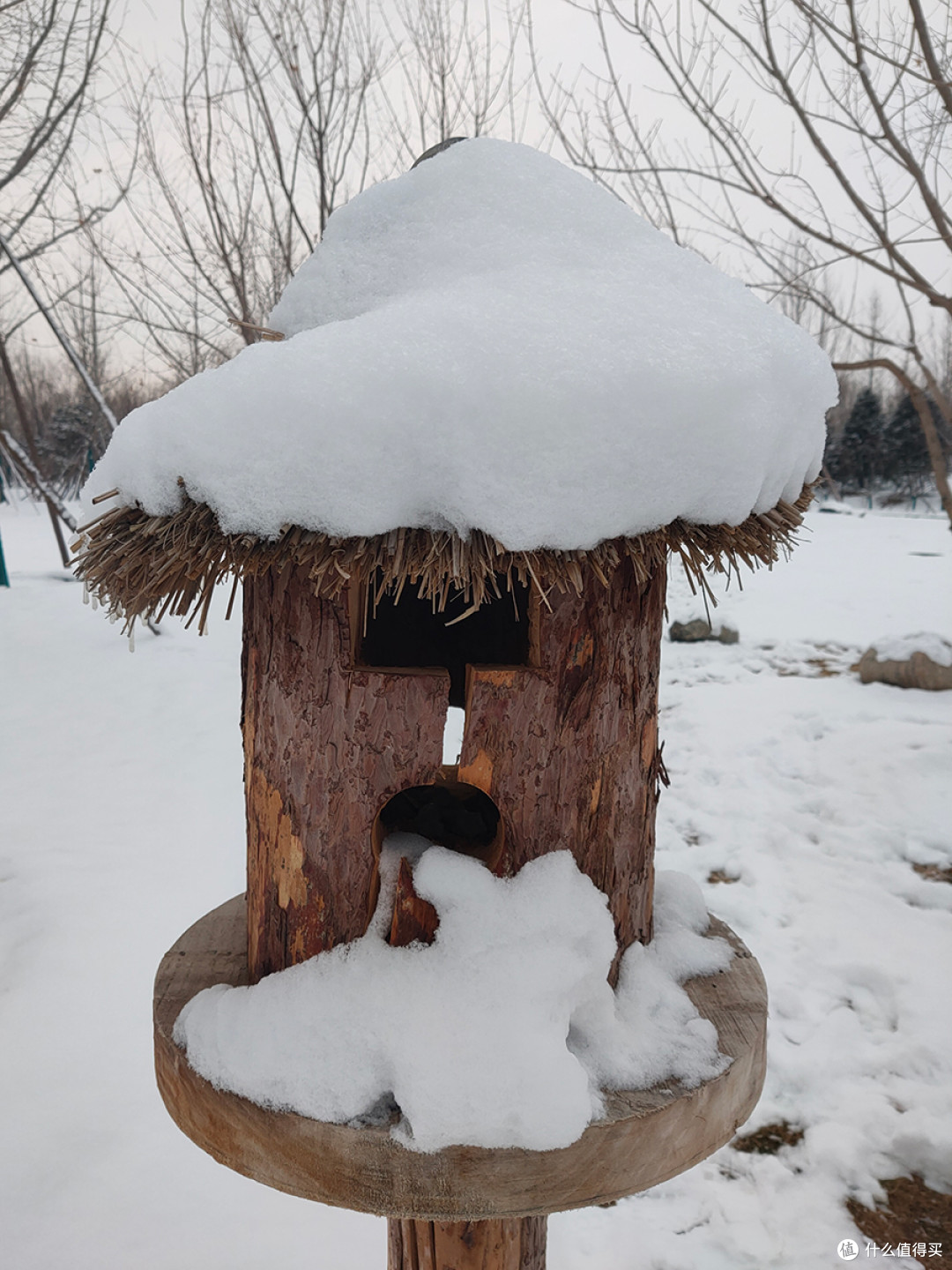 北京“又双叒叕”下雪后的手机记录