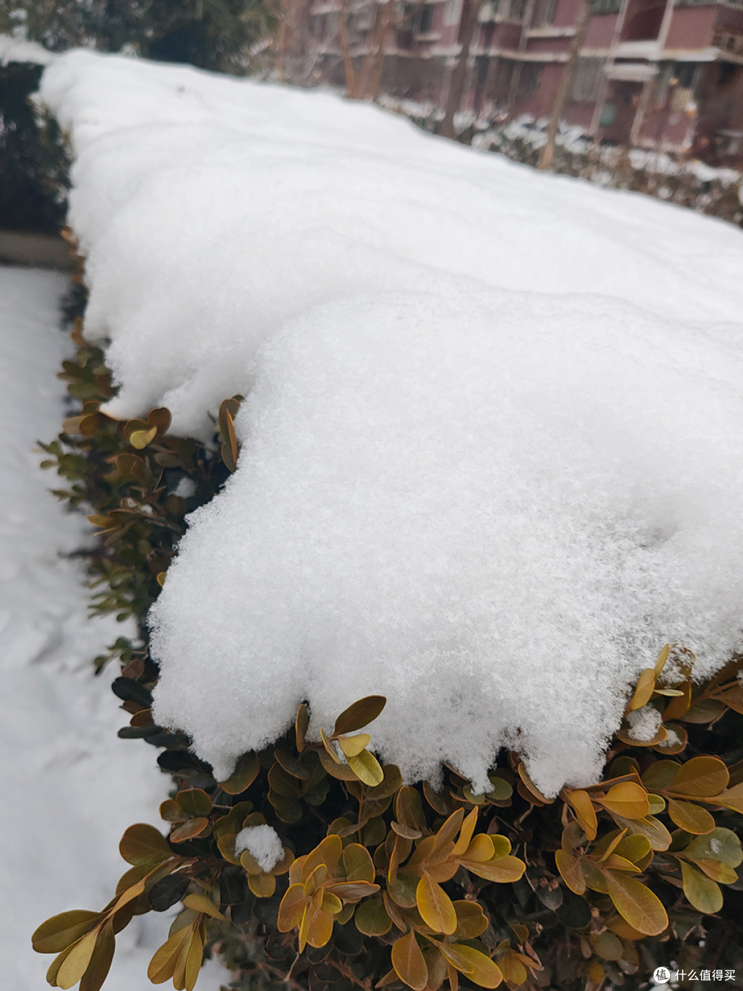 北京“又双叒叕”下雪后的手机记录