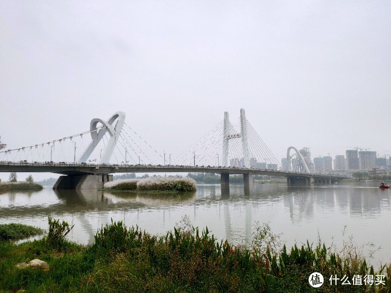 几处蒹葭连岸白——汉中网红芦苇荡游记