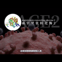 新型冠状病毒传播原理如何预防冠状病毒(清洁)