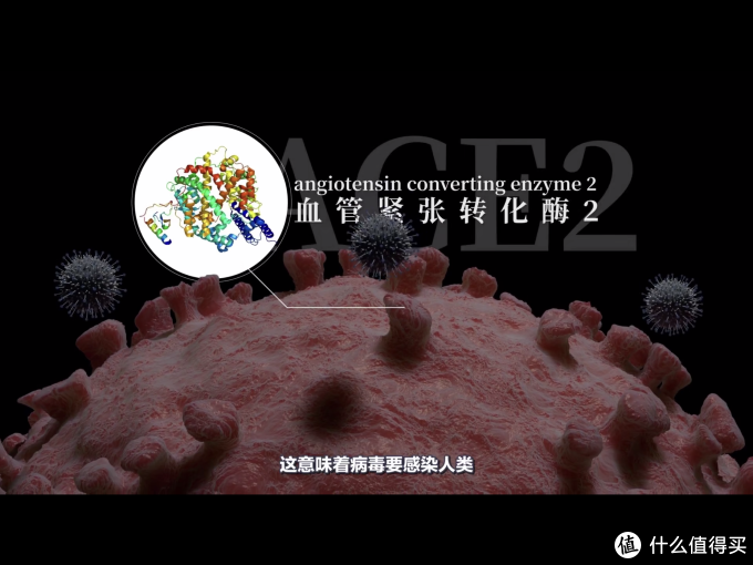 图片来自回形针「关于新冠肺炎的一切」