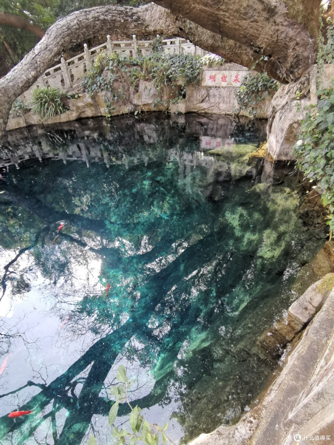 蝴蝶泉