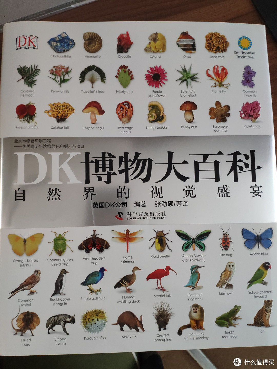 宅家读书---DK博物大百科