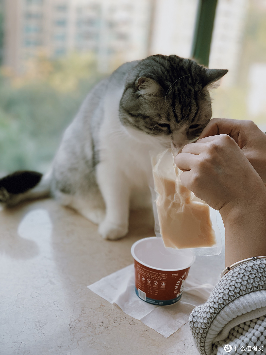 猫咪新型液体零食 让猫可以爱上喝水的TAFFEE喵茶