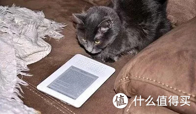 关于Kindle的生词本，你确定你都完全了解吗？