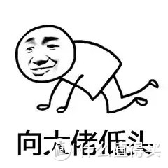 你敢说小保险公司靠谱?