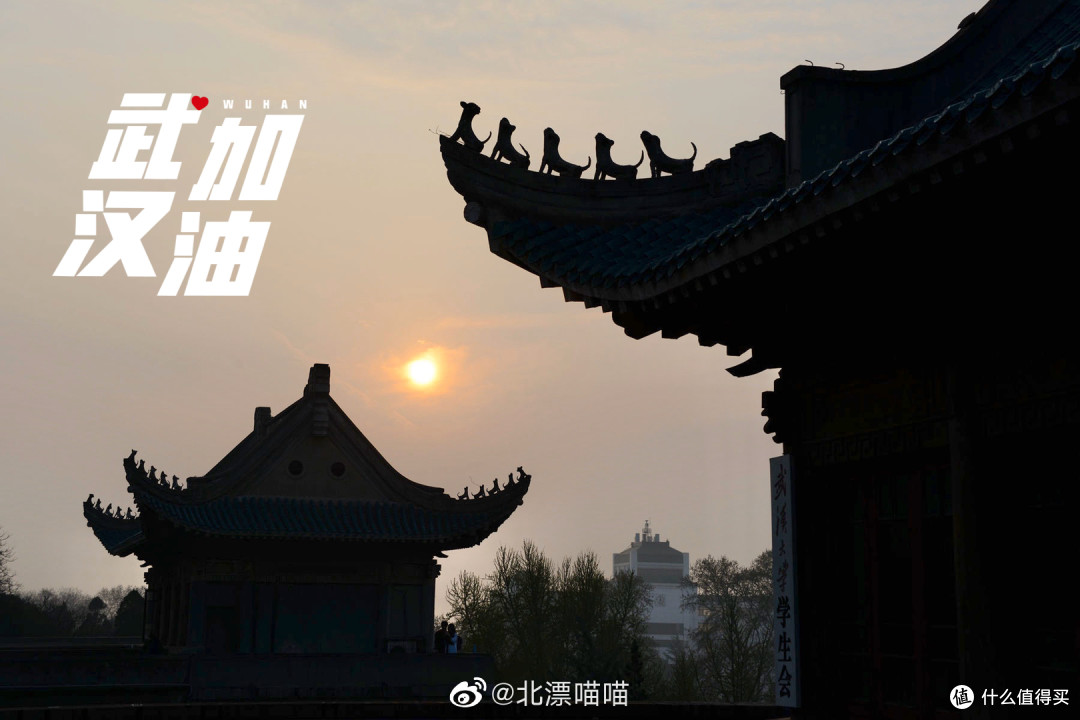图片来自网络