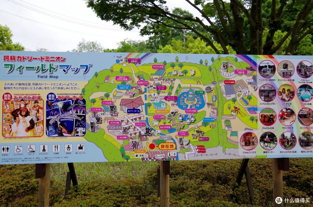 阿苏,火山、直升机和土味动物园