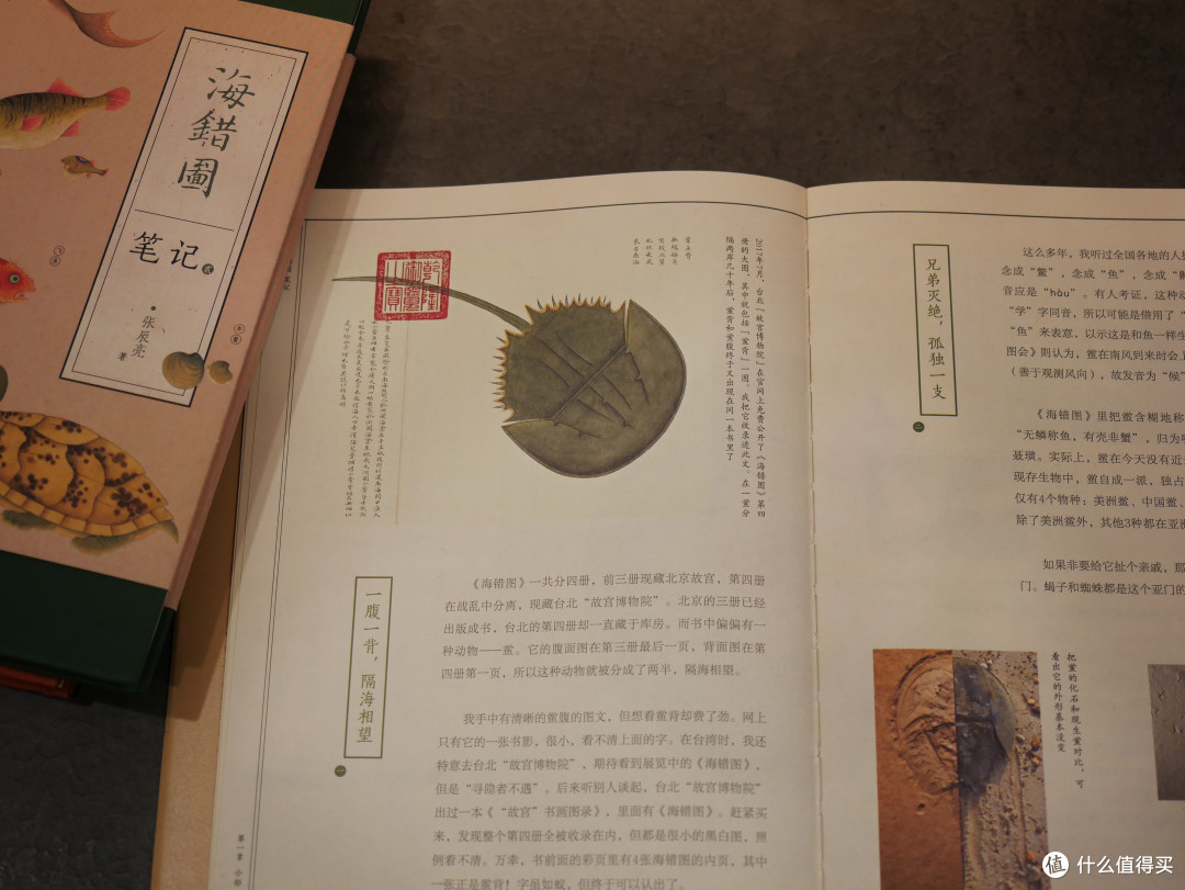 感觉自己更博学了呢——无穷小亮的《海错图笔记》（全三卷）