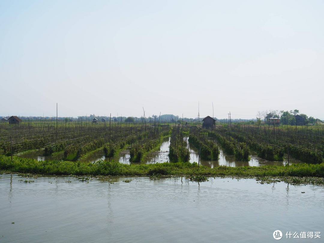 缅甸的威尼斯——茵莱湖，不打突突改打船