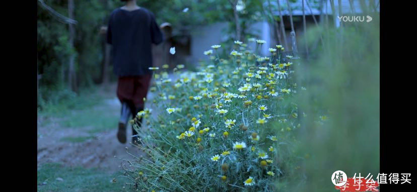 宅家肥,衣带渐宽有点悔……