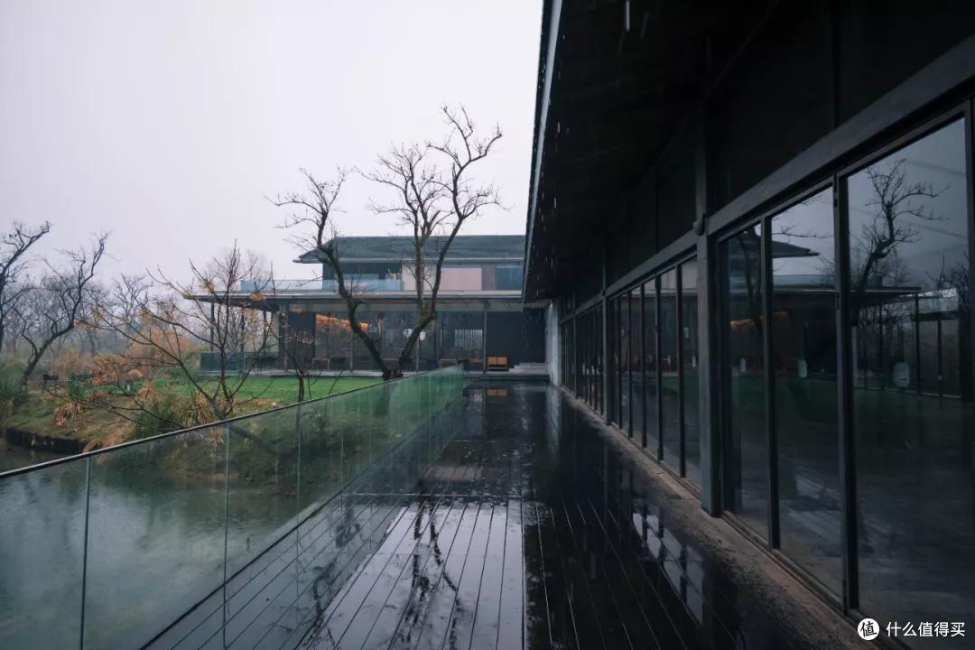 木守西溪 | 周公子去睡了,所以我也一定要去住
