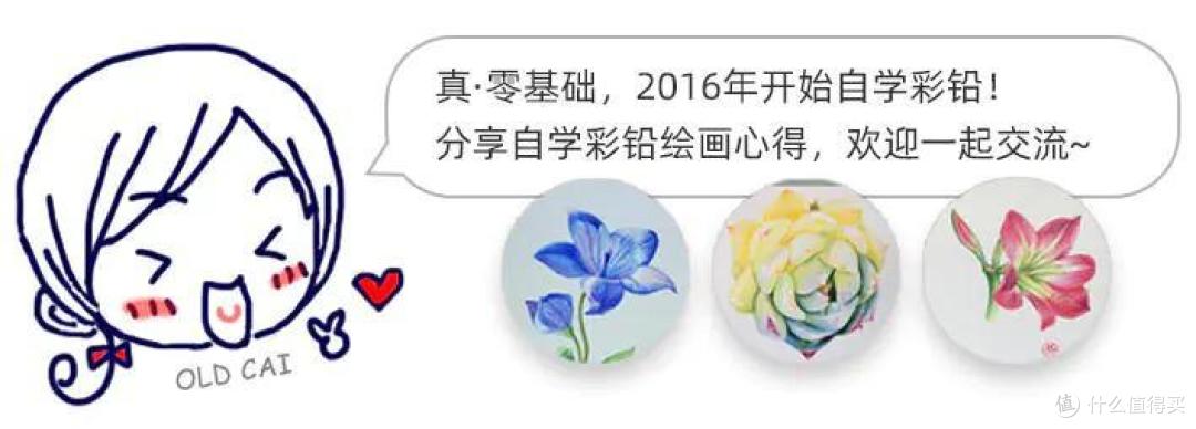 心灵疗愈系神物:胖乎乎的多肉彩铅绘