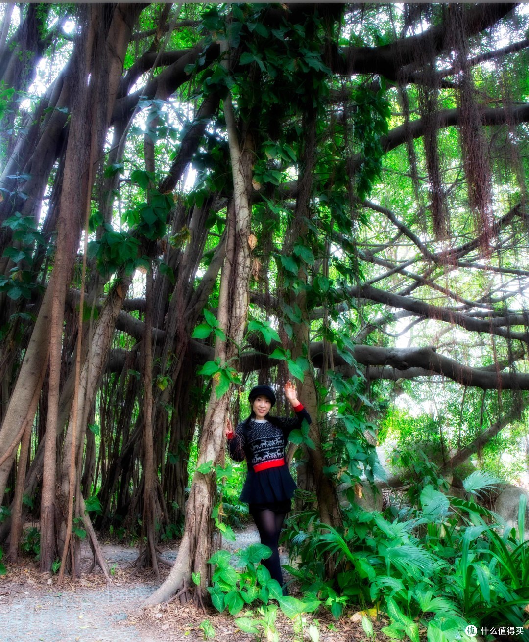 挤出时间的中山公园一游
