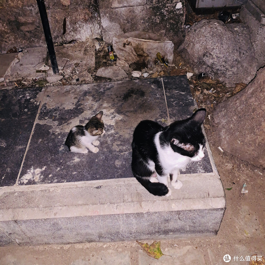 我要带你去浪猫的土耳其（之六/卡什/安塔利亚篇）【3万字多图游记】