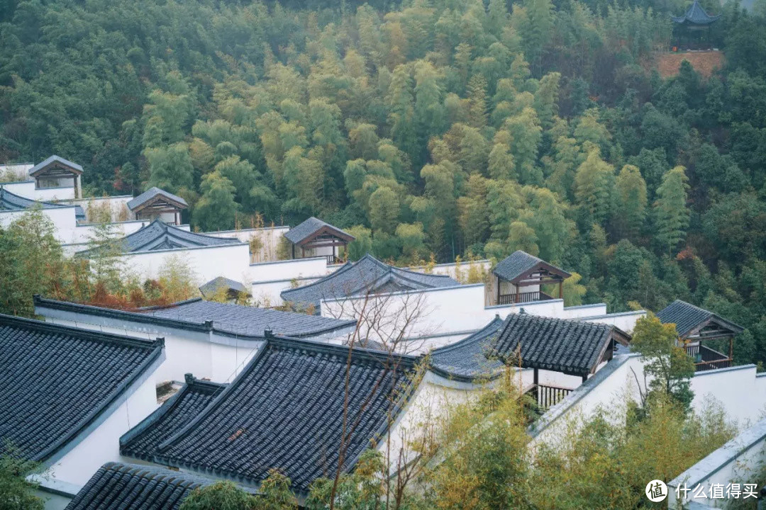 风险提醒！你看到的是旅行特价，它们看中的可能是你的本金