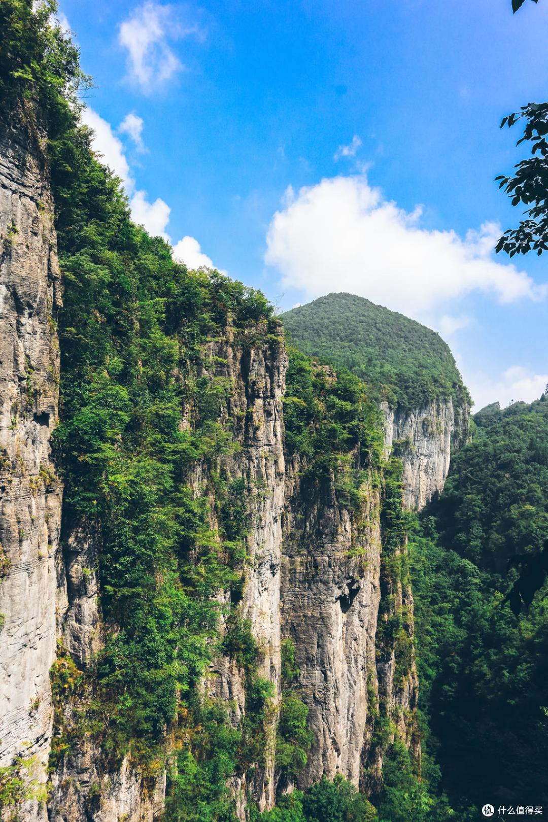 佳能m50套机1545行摄鄂西南