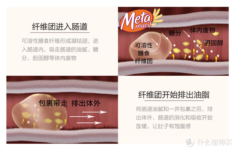 宅家如何健康吃，“科普向” Metamucil/美达施 膳食纤维粉开箱首晒