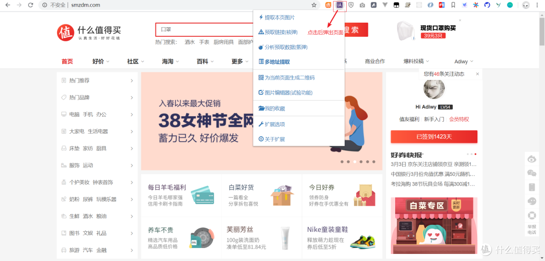Image Assistant插件位置