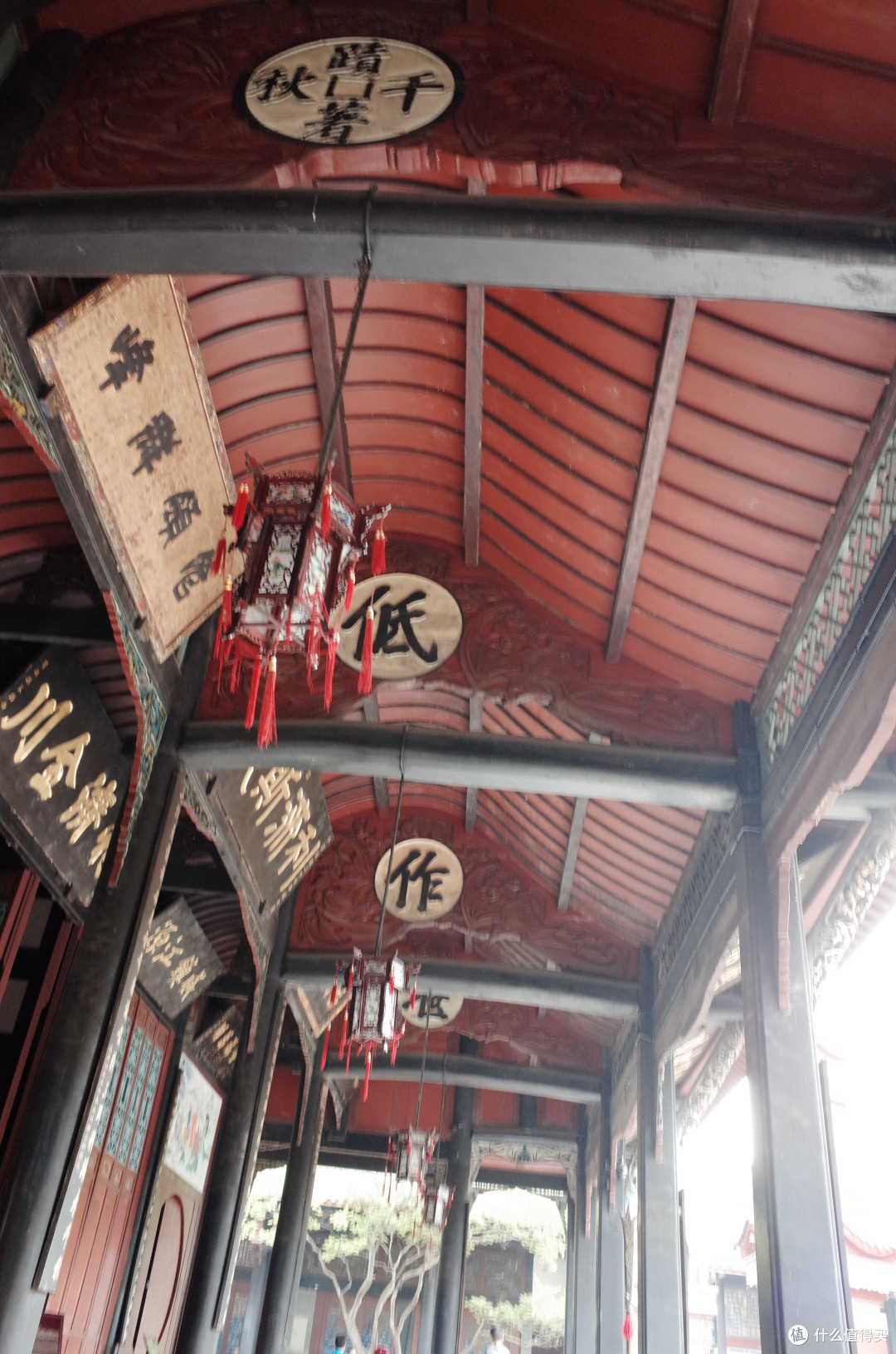 流量警告!难忘的成都康定稻城丽江之行,千图杀猫~