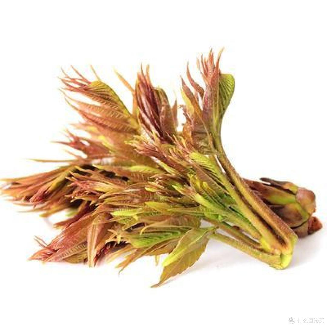 滋补养生正当时,盘点那些春季必吃的蔬菜