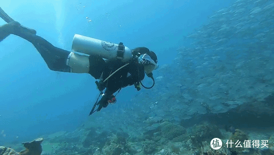 难忘的旅行 巴厘岛八丹拜人生第一次潜水和老公偷偷准备的水下求婚