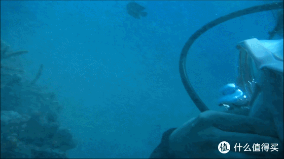 难忘的旅行 巴厘岛八丹拜人生第一次潜水和老公偷偷准备的水下求婚