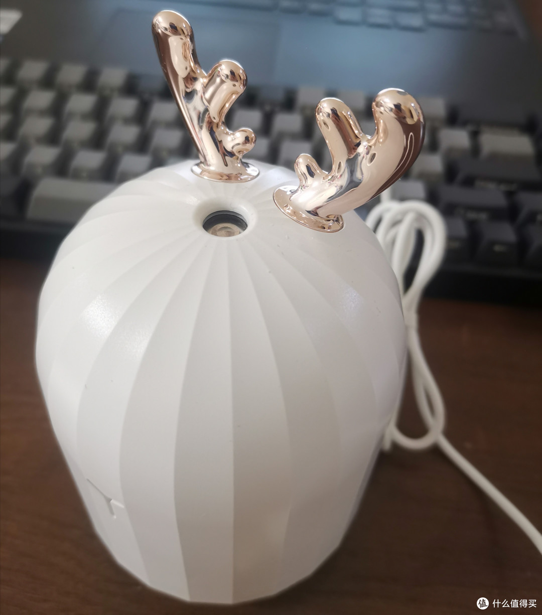 新年新气象,麋鹿加湿器使用体验