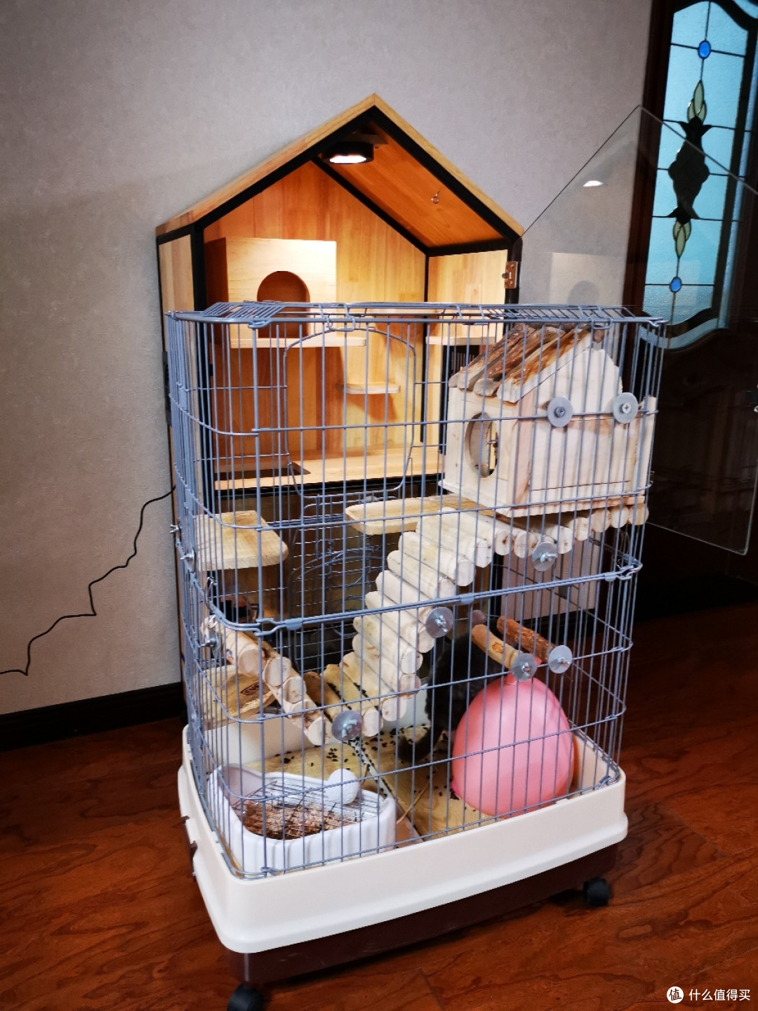 龙猫大壮的新家龙猫饲养日常必需品指南