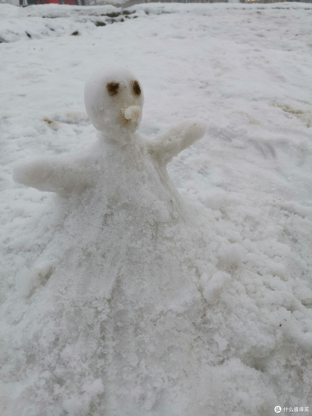 姑且叫你雪人好了