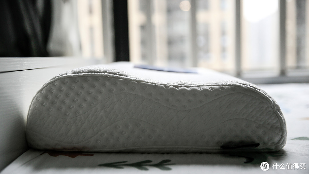 女神节礼物——Dunlopillo乳胶枕