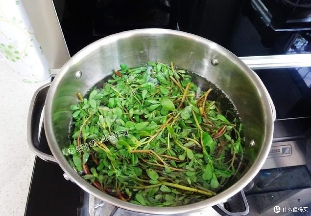 这野菜农村遍地都是没人稀罕，可它在糖尿病人眼里可是个大宝贝！