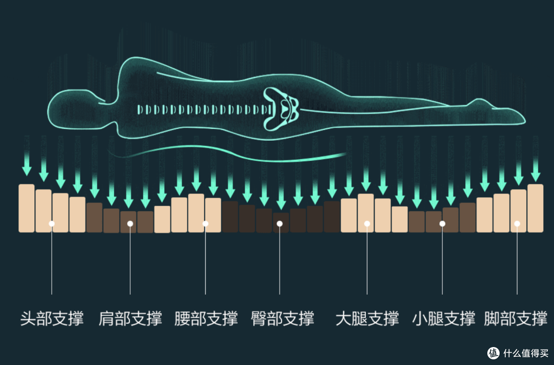 而成,同时采用七分区的人体工学设计,给予身体不同部位的不同支撑力
